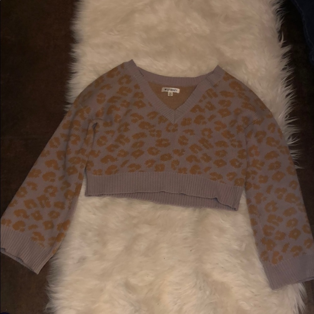 Cheetah cropped sweater